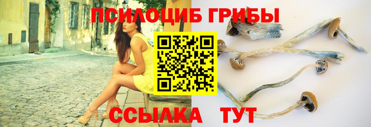 Галлюциногенные грибы Cubensis Грозный